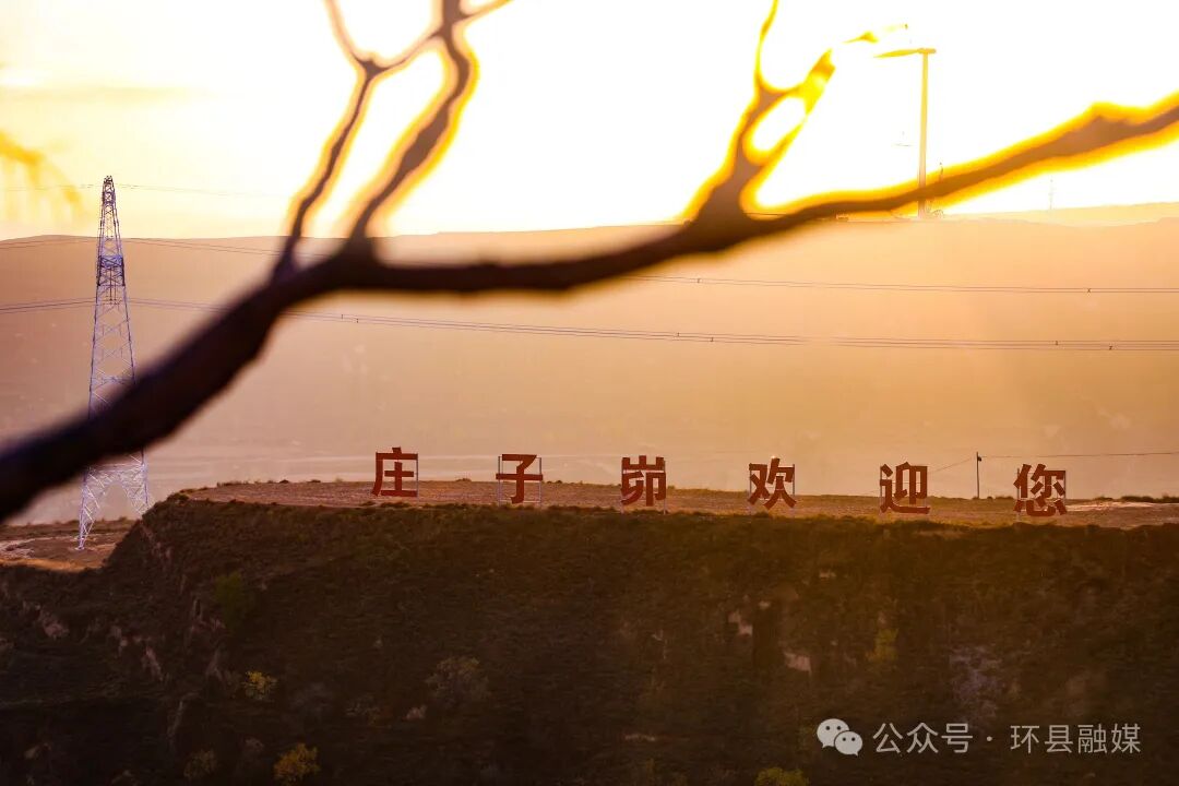 1763514466216012691.jpg 0T6A5085.jpg